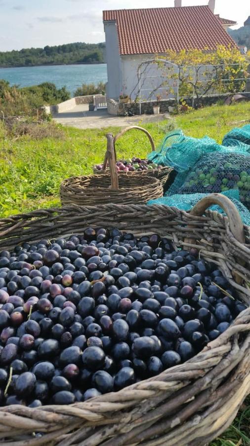 Goga Villa Zdrelac Bagian luar foto